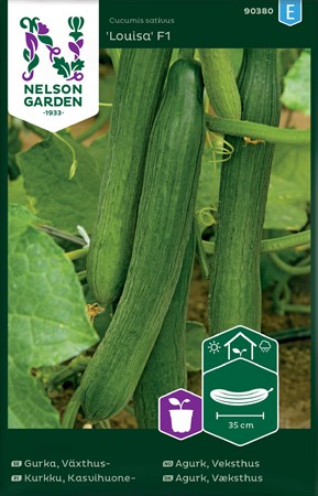Gurka, växthus, Louisa F1