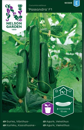 Gurka, växthus, Passandra F1
