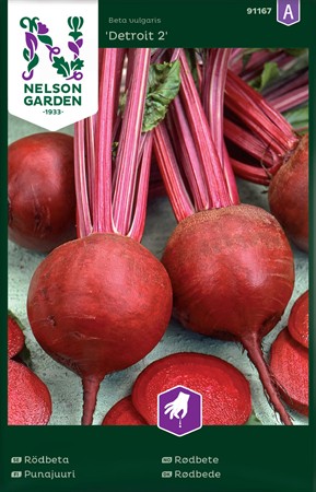 Rund rödbeta, Detroit 2