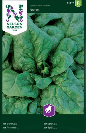 Spenat, Nores
