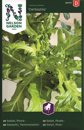 Plocksallat, Cerbiatta