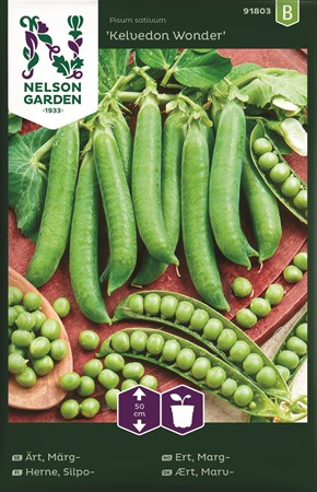 Märgärta, låg. Kelwedon wonder