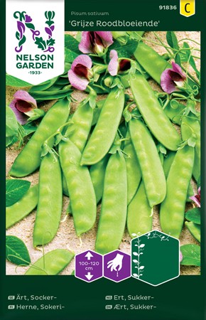 Sockerärta, hög. Grijze roodbloeiende