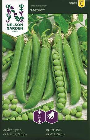 Spritärta, låg. Meteor