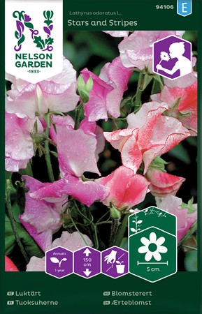 Luktärt, bl färger. Stars and stripes