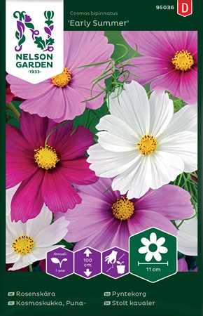 Rosenskära, bl färger. Early summer