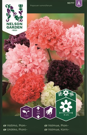 Pionvallmo, bl fätger