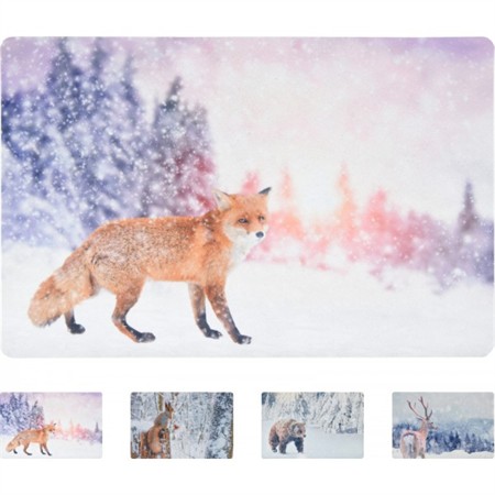 Dörrmatta djur - Ekorre