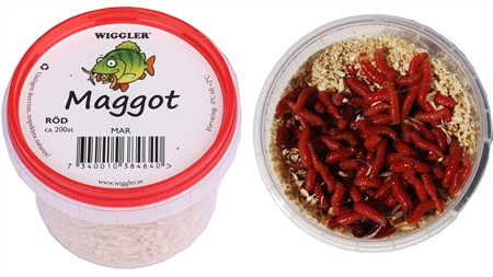 Maggot röd